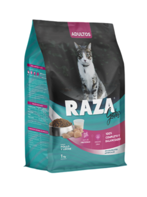 RAZA GATO POLLO